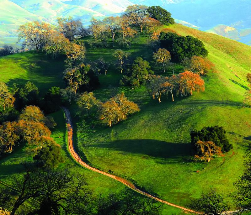 New quarter park mountain bike trail cheap